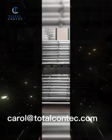 Оцинкованная система строительных лесов Прямая лестница для строительных лесов